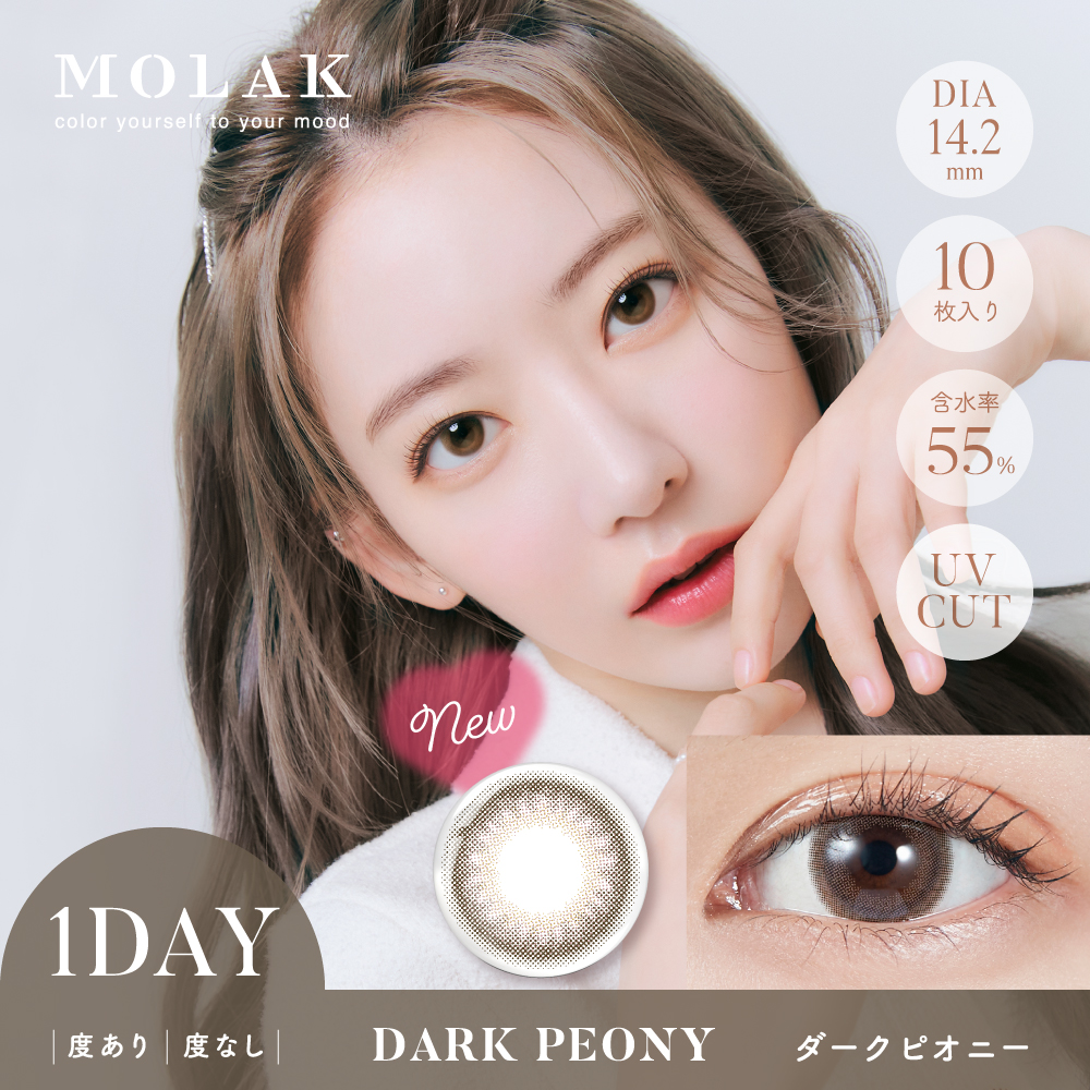 MOLAK 1dayUV ダークピオニー ブラウン