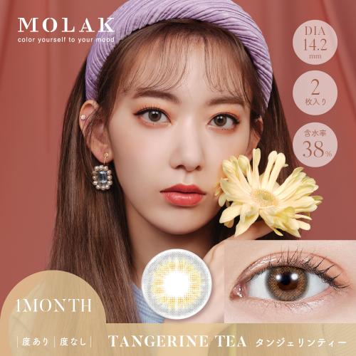 MOLAK 1Month タンジェリンティー